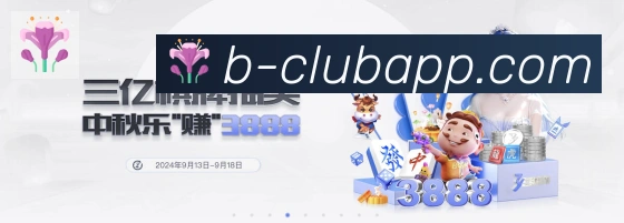 B体育荣誉